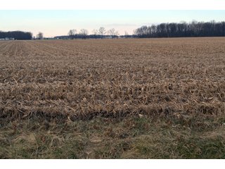 Property photo 8 - LAND AUCTION - 19.55+/- ACRES IN 1 TRACT IN ALLEN COUNTY, INDIANA